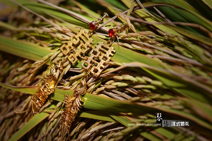 ������ݳ�������