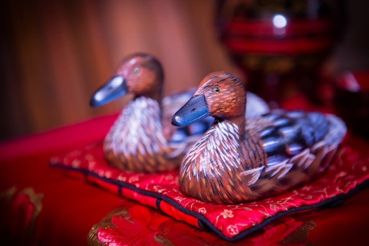 �����������ƻ���