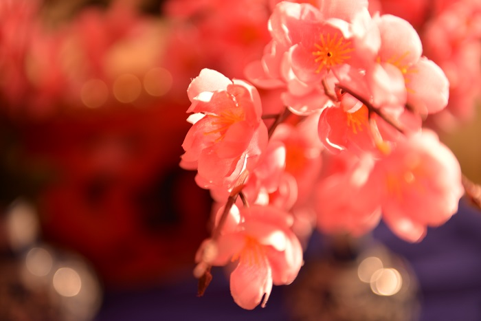 �����齭�³Ǻ�ʽ����