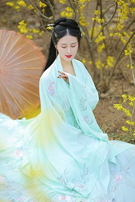 ǳ��ɫ�廨�������   ��������